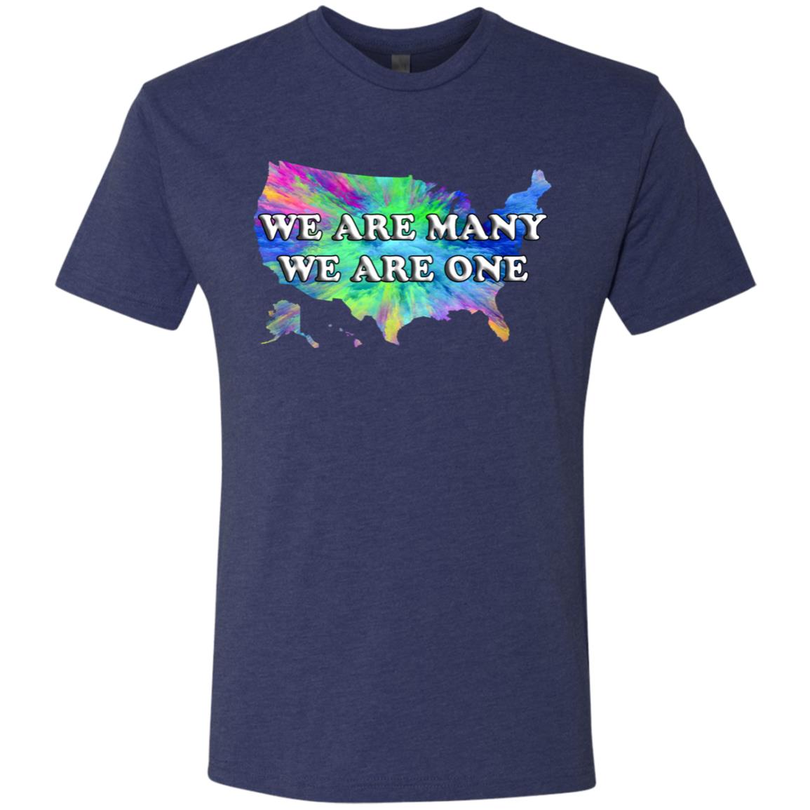 We Are Many We Are One (US)