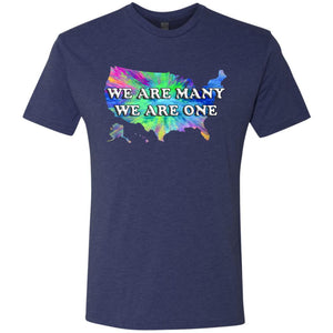 We Are Many We Are One (US)