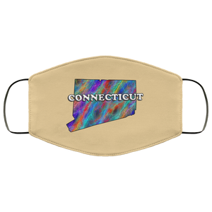 Connecticut 2 Layer Protective Face Mask