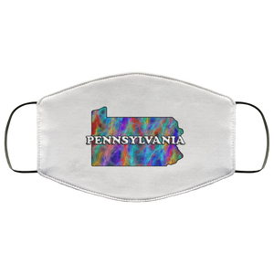 Pennsylvania 2 Layer Protective Face Mask