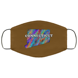 Connecticut 2 Layer Protective Face Mask