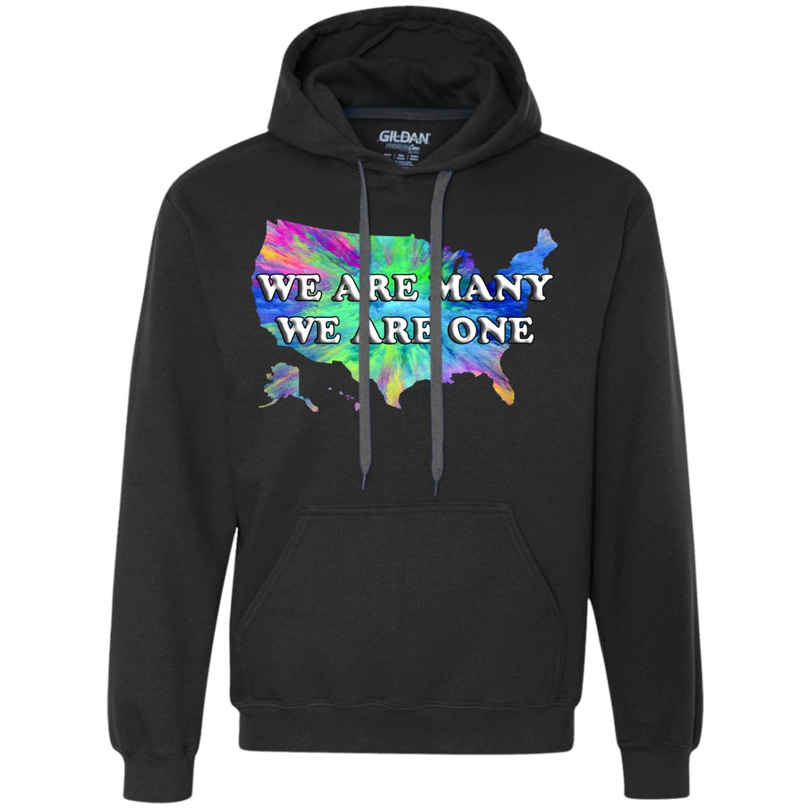 We Are Many We Are One Statement Hoodie (US)