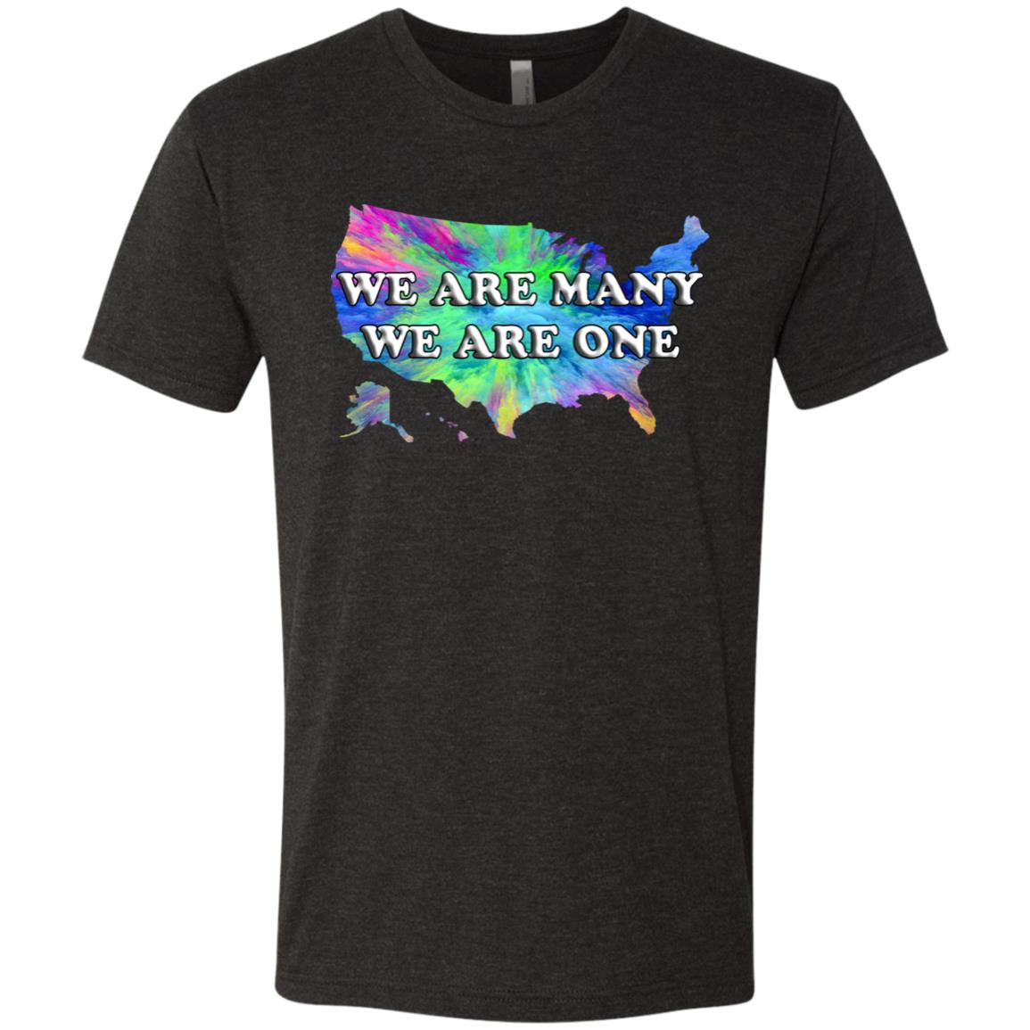 We Are Many We Are One (US)