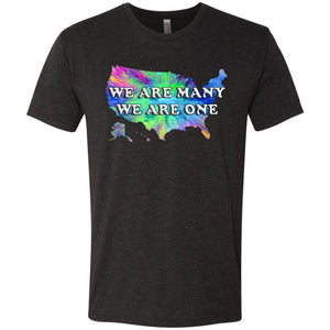 We Are Many We Are One (US)