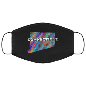 Connecticut 2 Layer Protective Face Mask