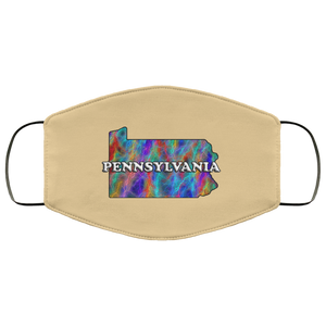 Pennsylvania 2 Layer Protective Face Mask