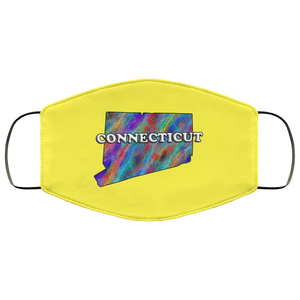 Connecticut 2 Layer Protective Face Mask