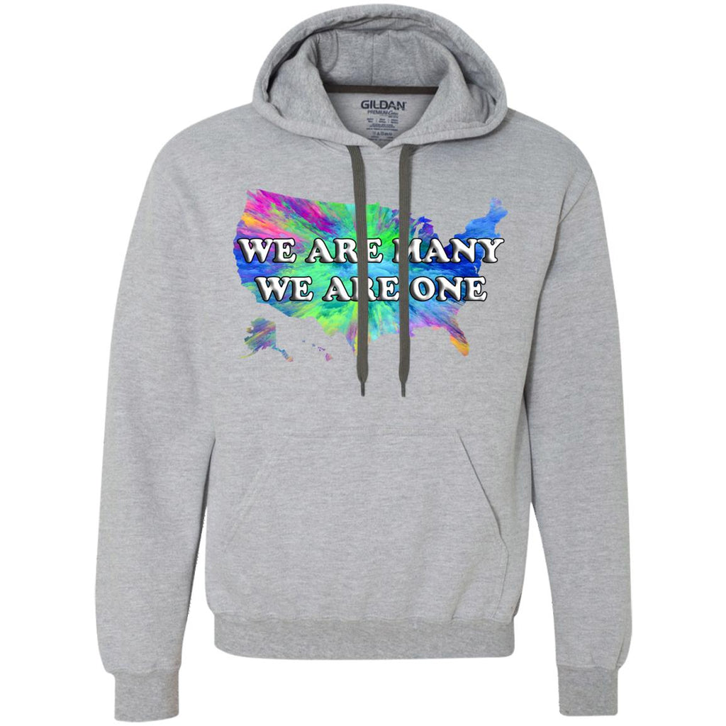 We Are Many We Are One Statement Hoodie (US)