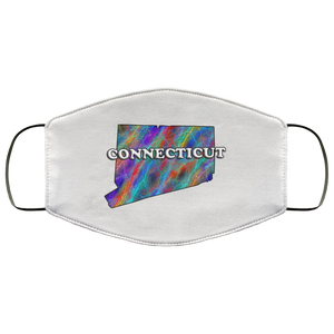 Connecticut 2 Layer Protective Face Mask