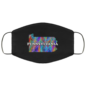 Pennsylvania 2 Layer Protective Face Mask